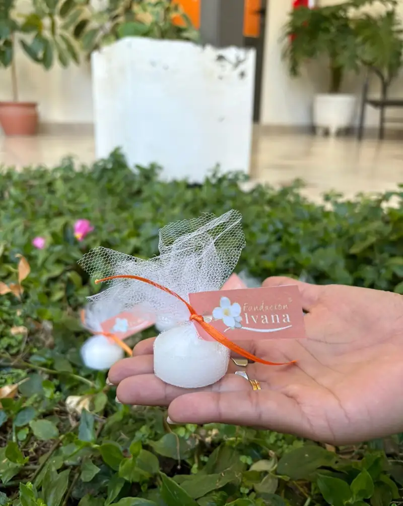 Una mano sostiene un pequeño recuerdo de Fundación Ivana: una piedra blanca envuelta en tul, con una cinta naranja y la tarjeta de la fundación.
